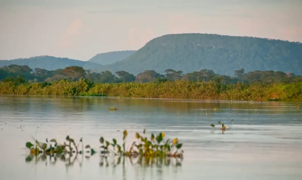 Cerrado perde 13,9 milhões de hectares de vegetação às margens de rios em 40 anos